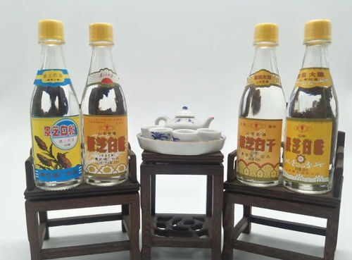 為何半斤白酒尚清醒，兩瓶啤酒卻已醉？——酒精飲料與醉酒的秘密